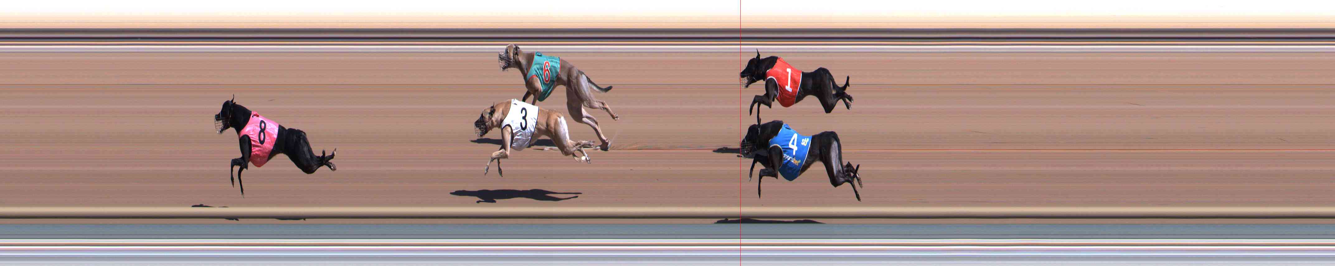 Race result finish photo